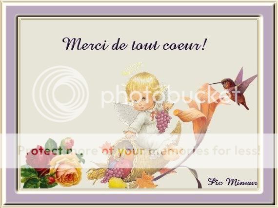 photo MERCILILIMCM171.jpg