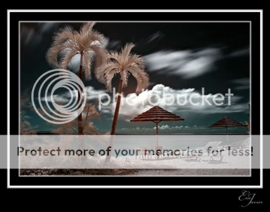 Tropic Beach Pictures, Images and Photos