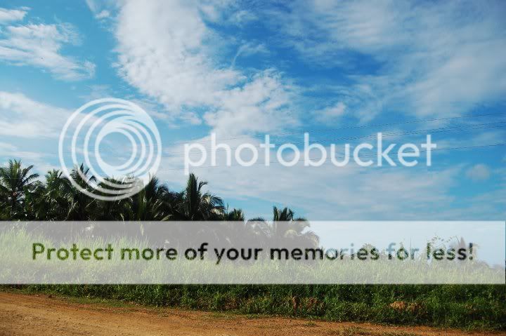 Forum Image: http://i439.photobucket.com/albums/qq120/Kaoruu-Chan/30848_1481757930200_1421372161_31279758_8160596_n.jpg