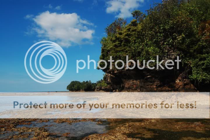 Forum Image: http://i439.photobucket.com/albums/qq120/Kaoruu-Chan/30848_1481765690394_1421372161_31279772_6988537_n.jpg