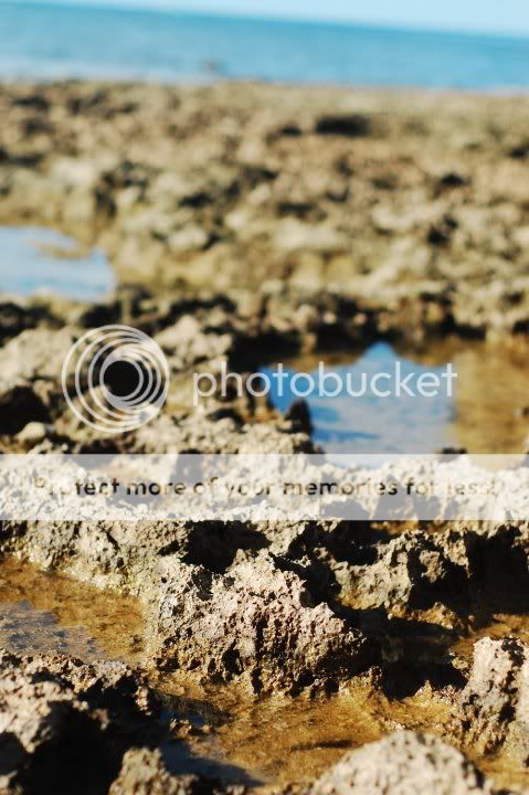 Forum Image: http://i439.photobucket.com/albums/qq120/Kaoruu-Chan/30848_1481765730395_1421372161_31279773_1777546_n.jpg