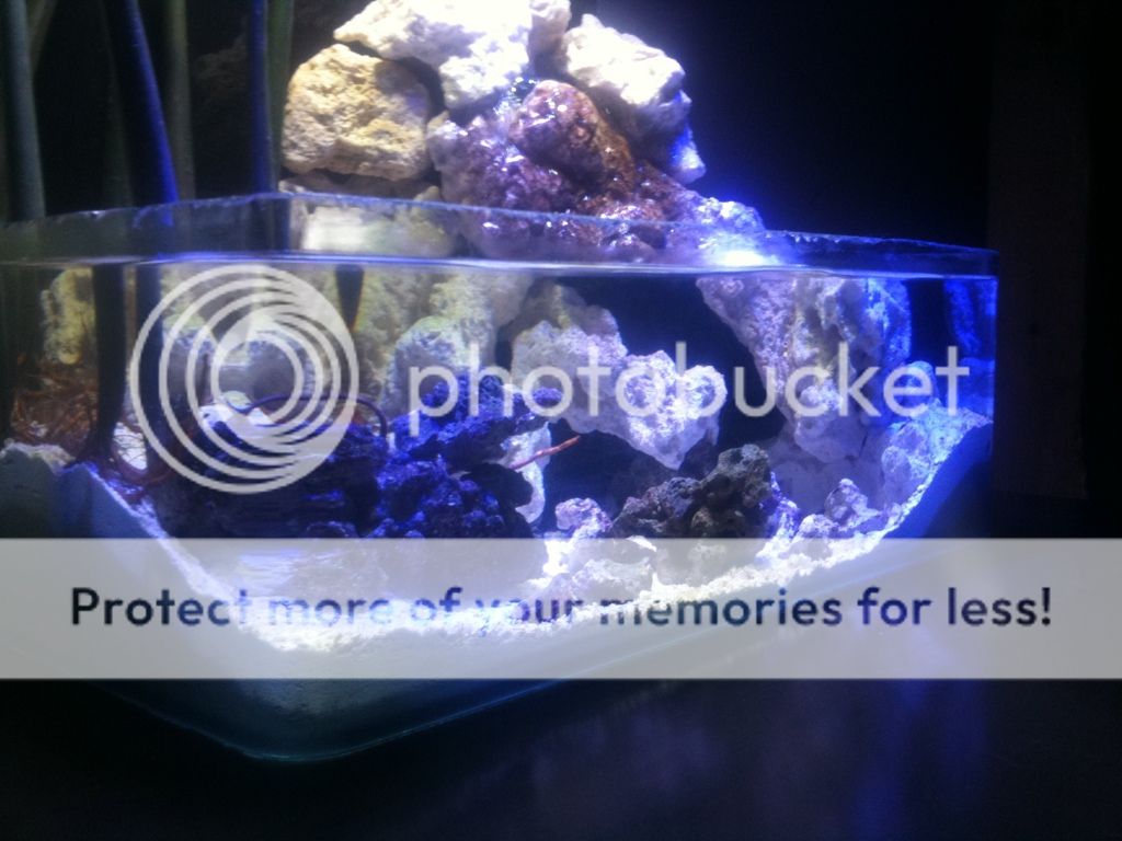 Posted Image