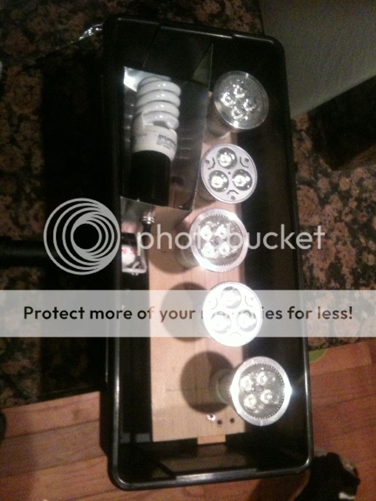 Posted Image